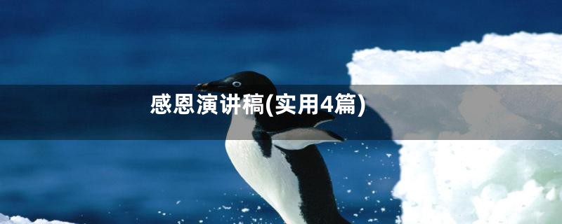 感恩演讲稿(实用4篇)