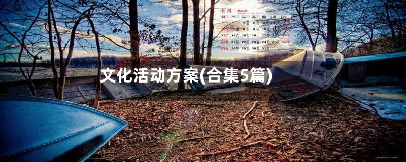文化活动方案(合集5篇)