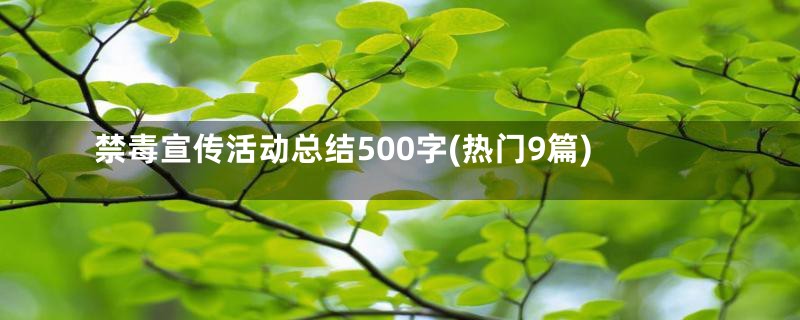 禁毒宣传活动总结500字(热门9篇)
