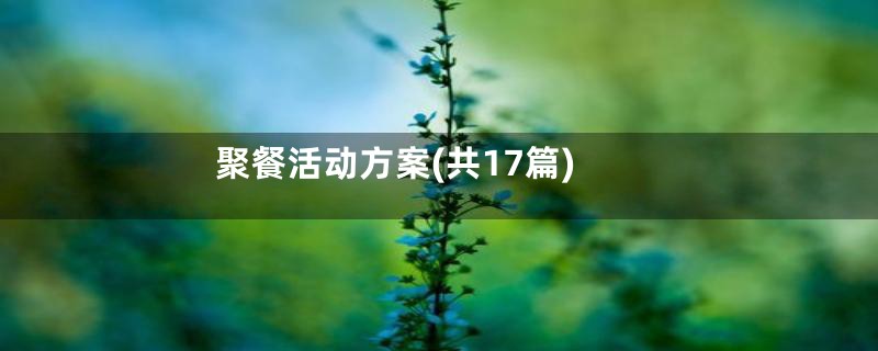 聚餐活动方案(共17篇)