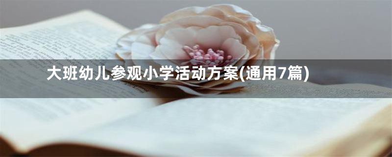 大班幼儿参观小学活动方案(通用7篇)