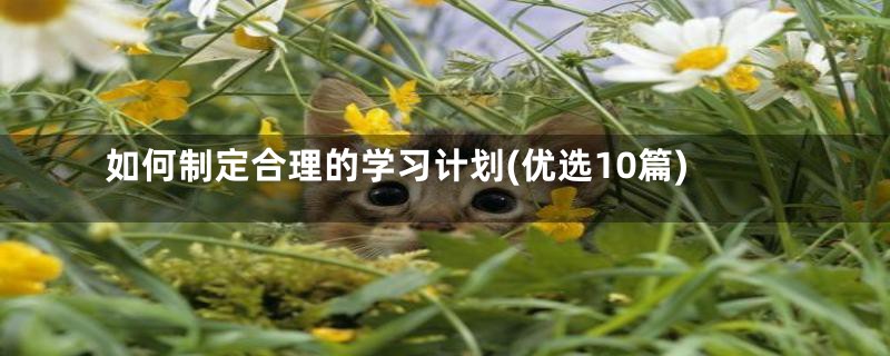 如何制定合理的学习计划(优选10篇)