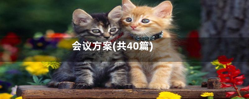 会议方案(共40篇)