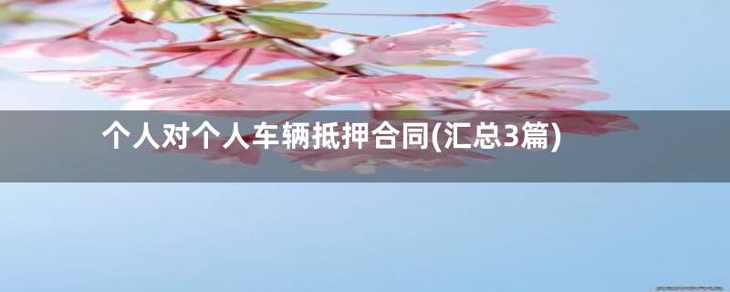 个人对个人车辆抵押合同(汇总3篇)