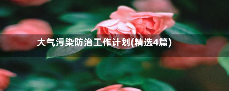 大气污染防治工作计划(精选4篇)