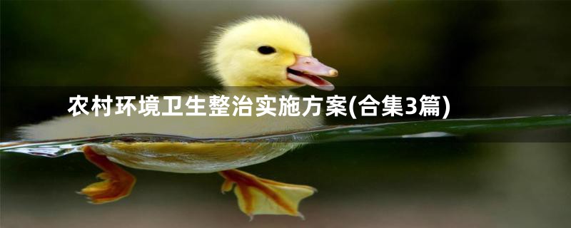 农村环境卫生整治实施方案(合集3篇)