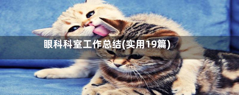 眼科科室工作总结(实用19篇)