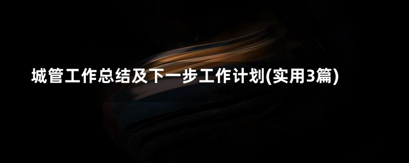 城管工作总结及下一步工作计划(实用3篇)