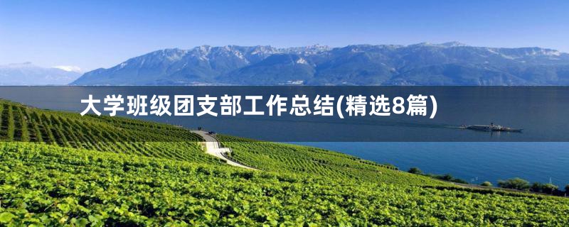 大学班级团支部工作总结(精选8篇)