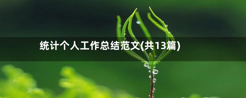 统计个人工作总结范文(共13篇)