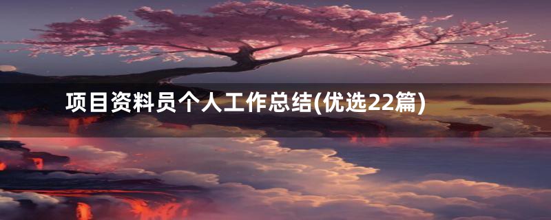 项目资料员个人工作总结(优选22篇)