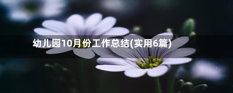 幼儿园10月份工作总结(实用6篇)