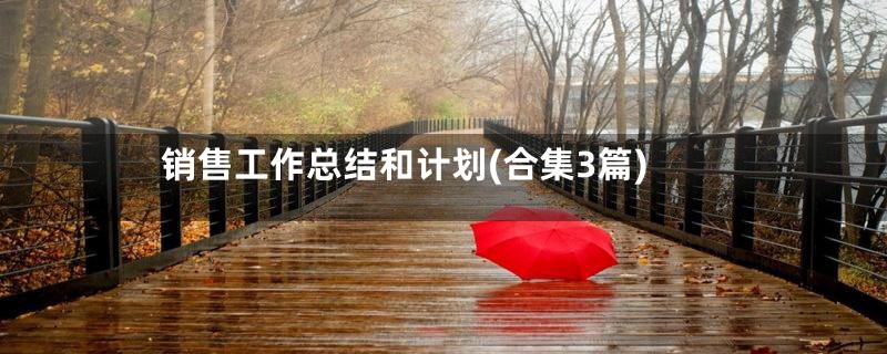 销售工作总结和计划(合集3篇)