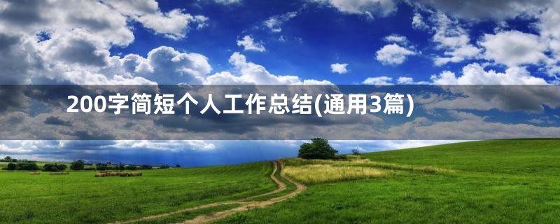 200字简短个人工作总结(通用3篇)