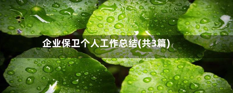企业保卫个人工作总结(共3篇)