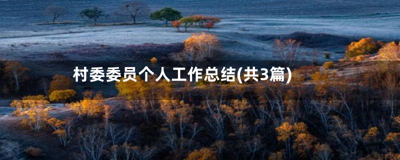 村委委员个人工作总结(共3篇)