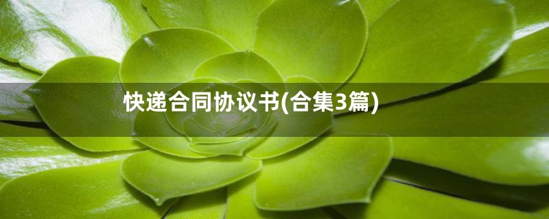 快递合同协议书(合集3篇)
