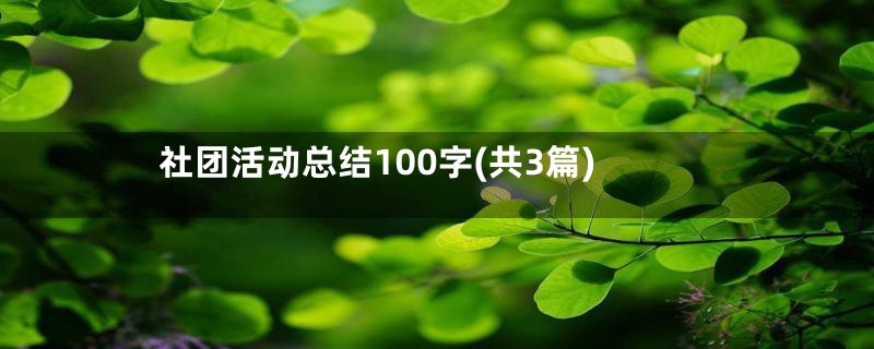 社团活动总结100字(共3篇)