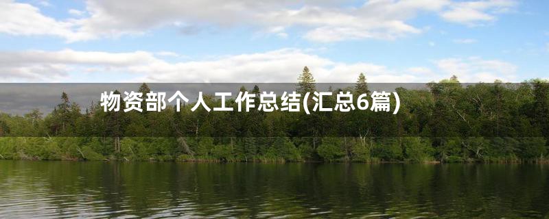 物资部个人工作总结(汇总6篇)
