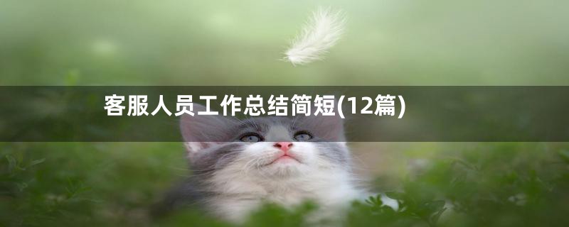 客服人员工作总结简短(12篇)