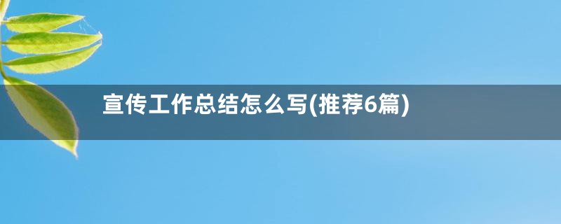 宣传工作总结怎么写(推荐6篇)