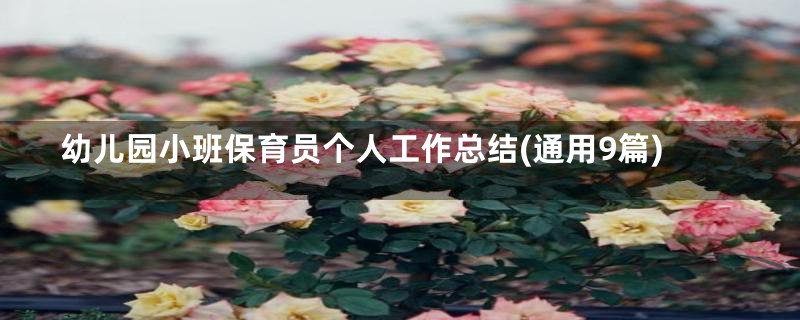 幼儿园小班保育员个人工作总结(通用9篇)