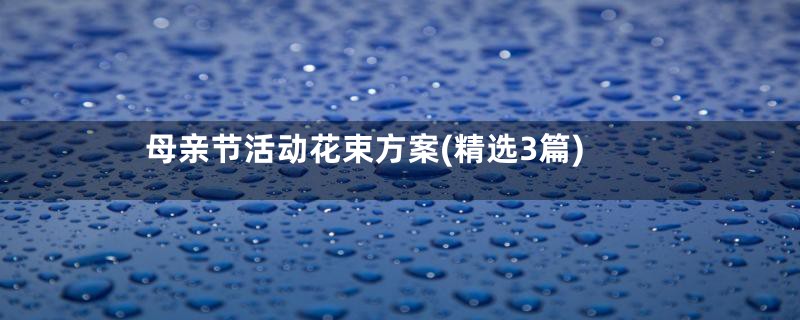 母亲节活动花束方案(精选3篇)