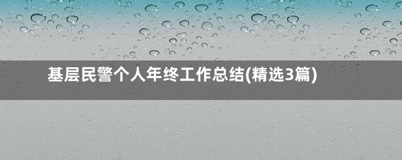 基层民警个人年终工作总结(精选3篇)