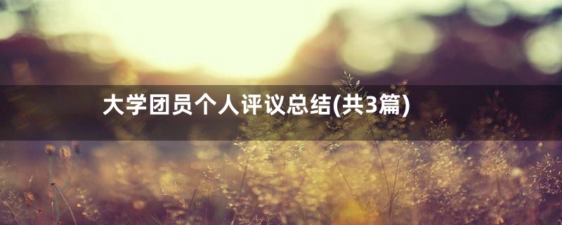 大学团员个人评议总结(共3篇)