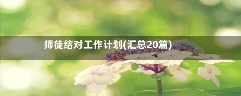 师徒结对工作计划(汇总20篇)