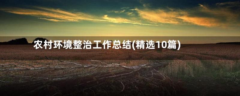农村环境整治工作总结(精选10篇)