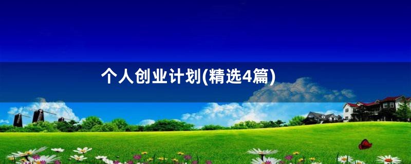 个人创业计划(精选4篇)