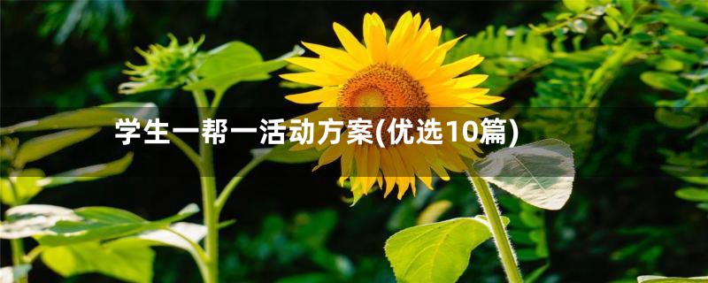 学生一帮一活动方案(优选10篇)