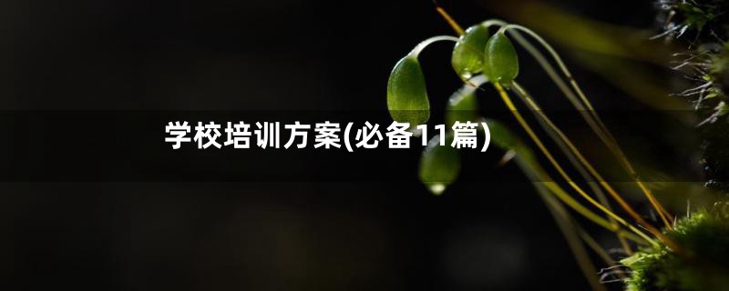 学校培训方案(必备11篇)