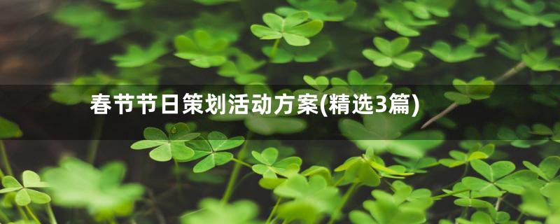 春节节日策划活动方案(精选3篇)
