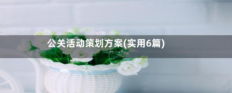 公关活动策划方案(实用6篇)