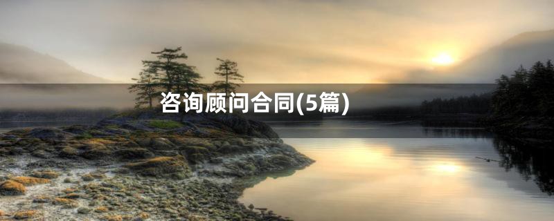 咨询顾问合同(5篇)