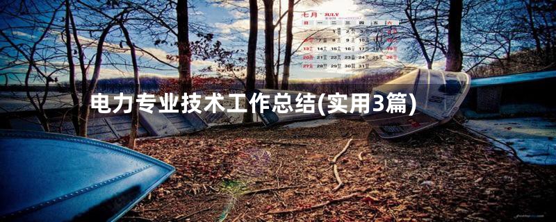 电力专业技术工作总结(实用3篇)