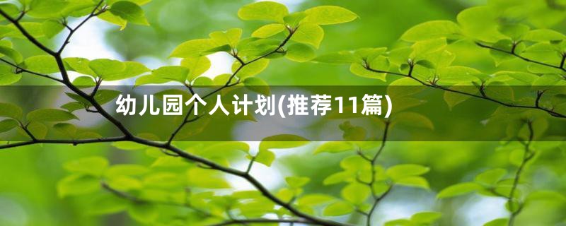 幼儿园个人计划(推荐11篇)