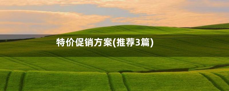 特价促销方案(推荐3篇)