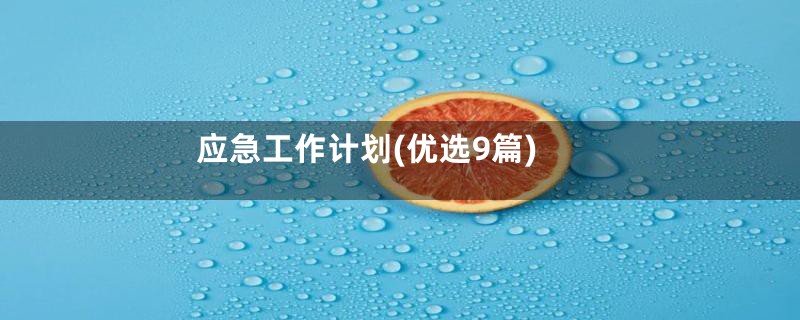 应急工作计划(优选9篇)