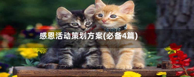 感恩活动策划方案(必备4篇)