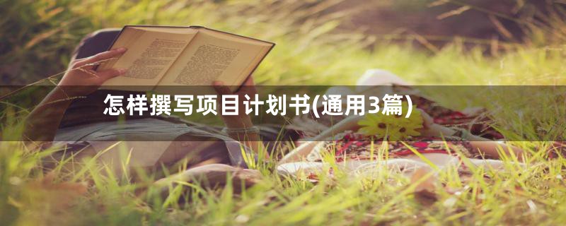 怎样撰写项目计划书(通用3篇)
