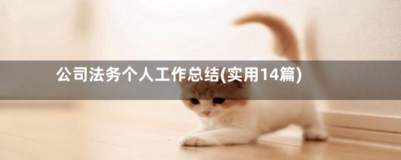 公司法务个人工作总结(实用14篇)