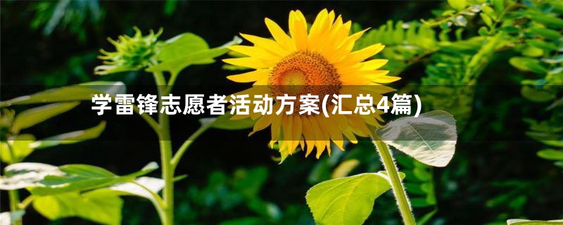 学雷锋志愿者活动方案(汇总4篇)