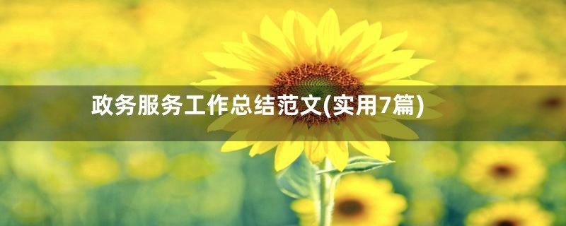 政务服务工作总结范文(实用7篇)
