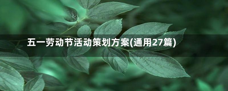 五一劳动节活动策划方案(通用27篇)