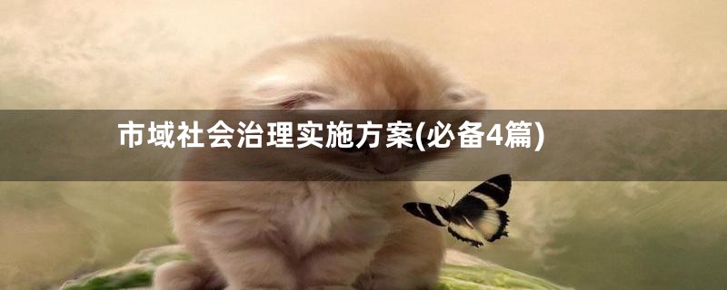 市域社会治理实施方案(必备4篇)