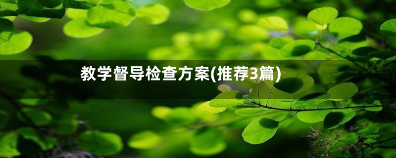 教学督导检查方案(推荐3篇)