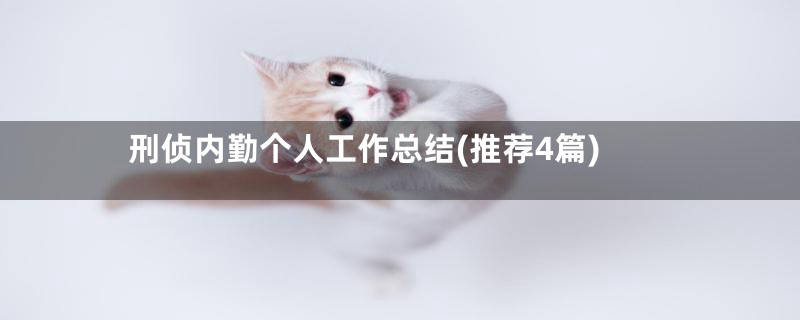 刑侦内勤个人工作总结(推荐4篇)